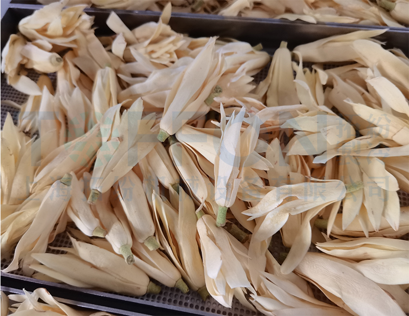 白玉蘭凍干，果蔬真空冷凍干燥機應用案例