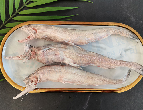 龍頭魚凍干：食品凍干應用于海鮮肉類真空冷凍干燥