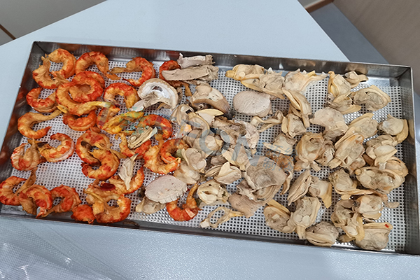 海鮮凍干：小型家用凍干機應用案例及優勢