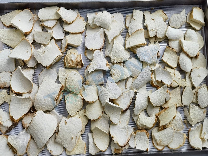 冷凍干燥機|凍干機|真空冷凍干燥機|大型冷凍干燥機|食品凍干機|制藥真空冷凍干燥機|食品凍干設備|制藥冷凍干燥機