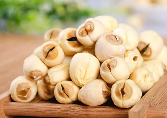 冷凍干燥機|凍干機|真空冷凍干燥機|大型冷凍干燥機|食品凍干機|制藥真空冷凍干燥機|食品凍干設備|制藥冷凍干燥機