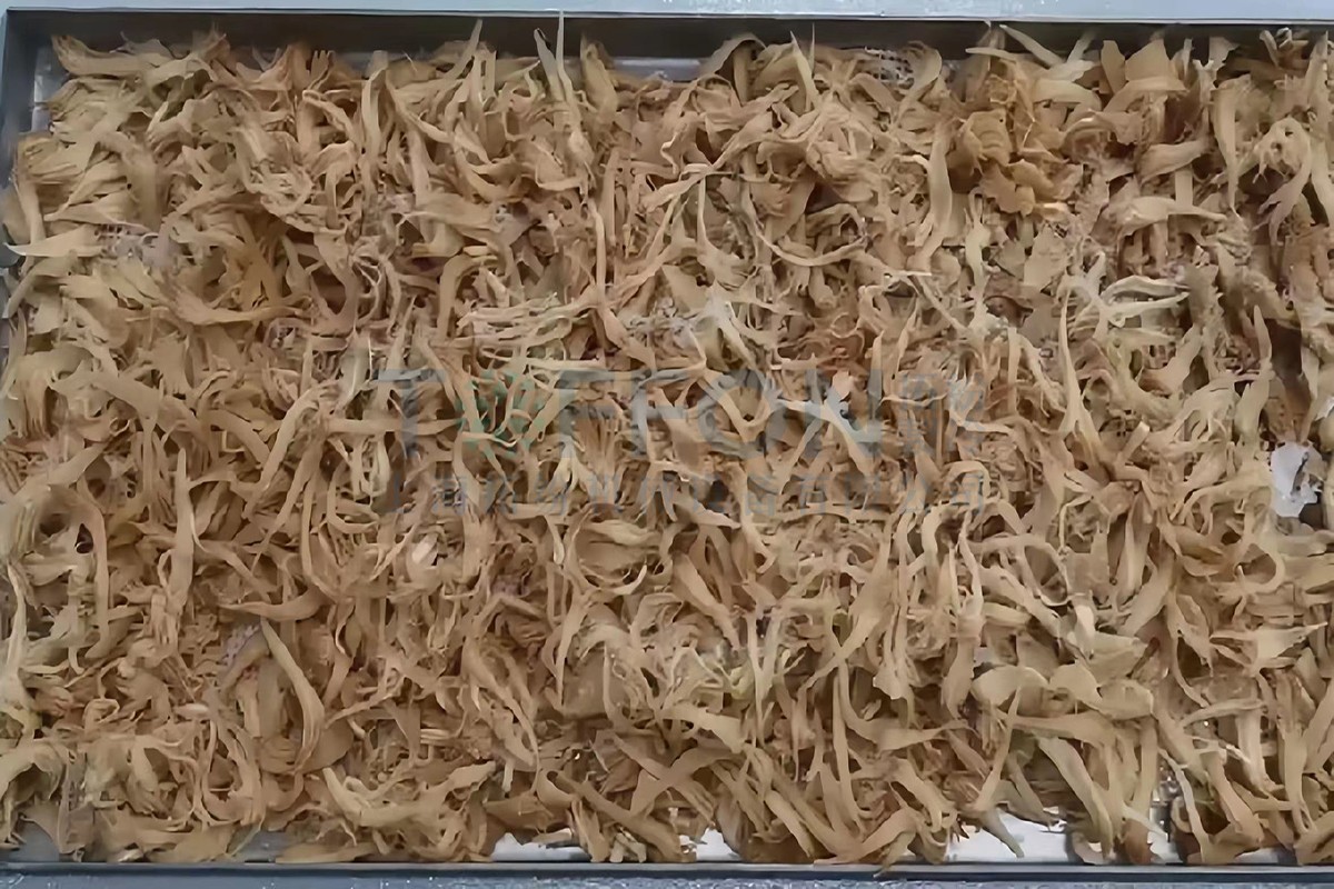 冷凍干燥機|凍干機|真空冷凍干燥機|大型冷凍干燥機|食品凍干機|制藥真空冷凍干燥機|食品凍干設備|制藥冷凍干燥機