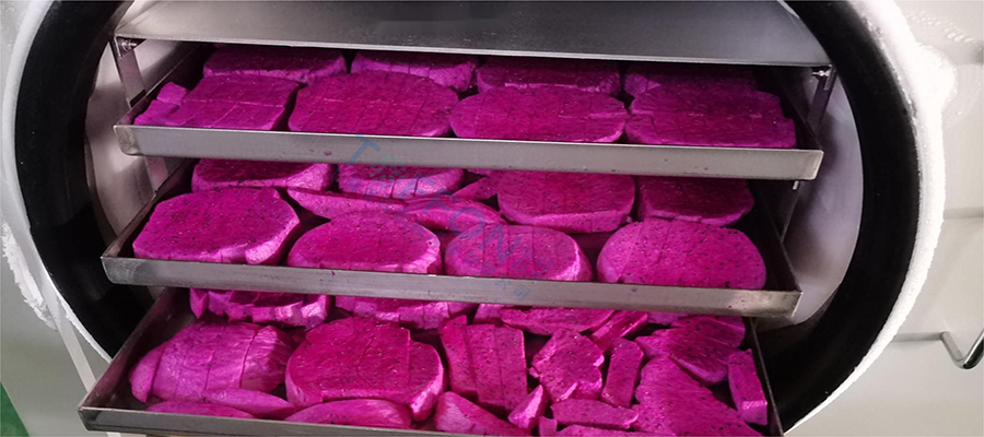 冷凍干燥機|凍干機|真空冷凍干燥機|大型冷凍干燥機|食品凍干機|制藥真空冷凍干燥機|食品凍干設備|制藥冷凍干燥機