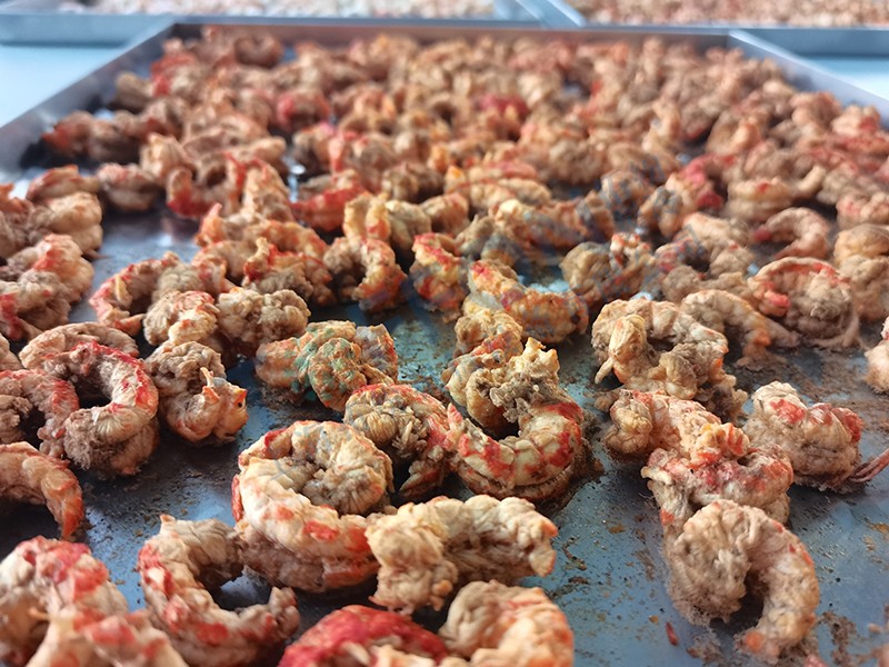 冷凍干燥機|凍干機|真空冷凍干燥機|大型冷凍干燥機|食品凍干機|制藥真空冷凍干燥機|食品凍干設備|制藥冷凍干燥機