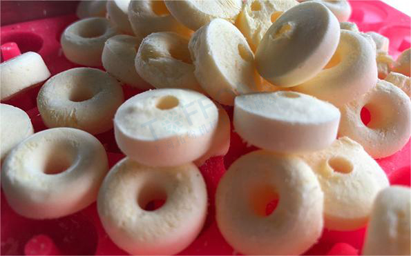 冷凍干燥機|凍干機|真空冷凍干燥機|大型冷凍干燥機|食品凍干機|制藥真空冷凍干燥機|食品凍干設(shè)備|制藥冷凍干燥機